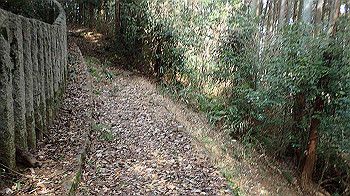 p3110133_thumb.jpg