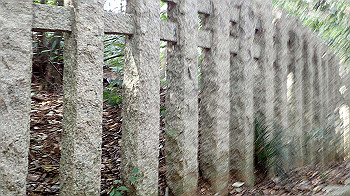 p3110136_thumb.jpg