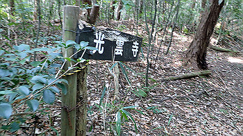 p3110139_thumb.jpg