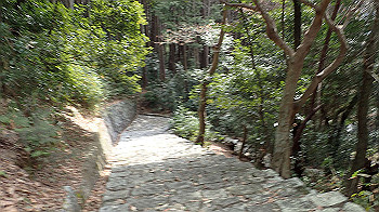 p3110144_thumb.jpg