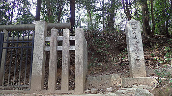 p3110146_thumb.jpg
