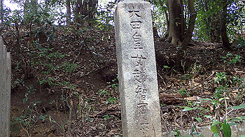 p3110148_thumb.jpg