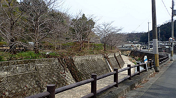 p3110156_thumb.jpg