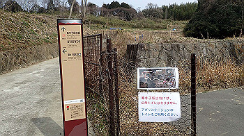 p3110181_thumb.jpg
