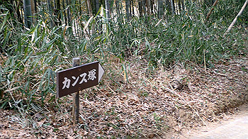 p3110185_thumb.jpg