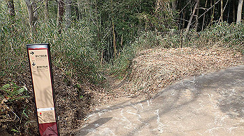 p3110186_thumb.jpg