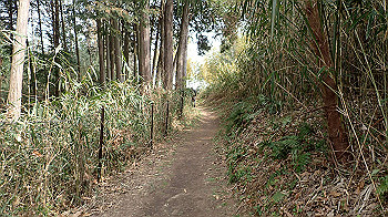 p3110187_thumb.jpg