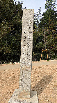 p3110199_thumb.jpg