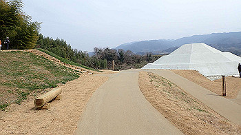 p3110200_thumb.jpg
