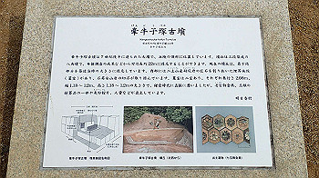 p3110205_thumb.jpg