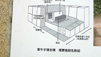 p3110208_thumb.jpg