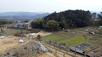 p3110217_thumb.jpg