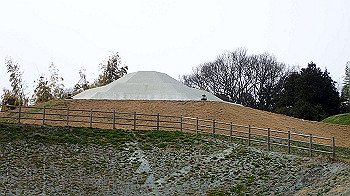p3110224_thumb.jpg
