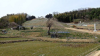 p3110228_thumb.jpg