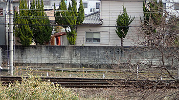 p3110232_thumb.jpg