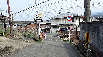 p3110236_thumb.jpg
