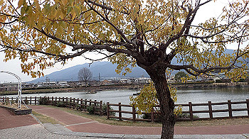 p3110245_thumb.jpg