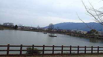 p3110247_thumb.jpg