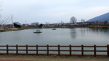 p3110248_thumb.jpg