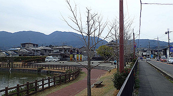 p3110250_thumb.jpg