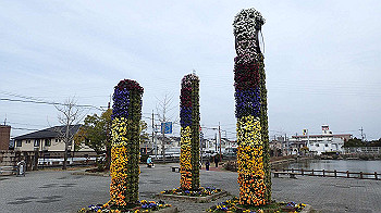 p3110254_thumb.jpg