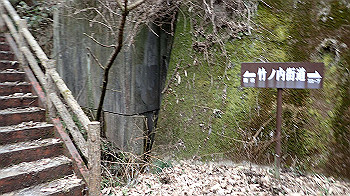 p3110260_thumb.jpg