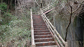 p3110261_thumb.jpg