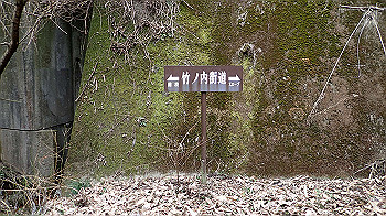 p3110262_thumb.jpg