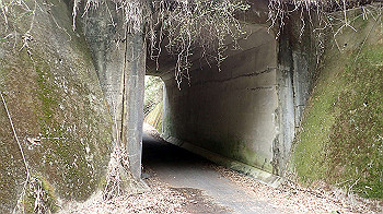 p3110263_thumb.jpg