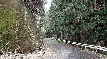 p3110264_thumb.jpg