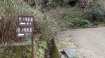p3110268_thumb.jpg