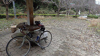 p3110270_thumb.jpg
