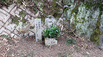 p3110273_thumb.jpg