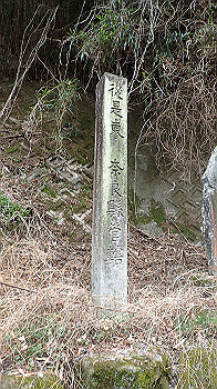 p3110276_thumb.jpg