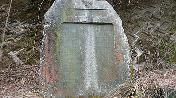 p3110277_thumb.jpg