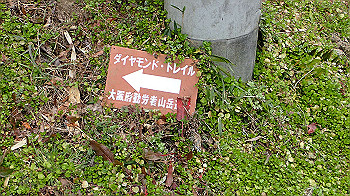 p3110283_thumb.jpg