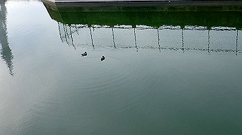 p3110290_thumb.jpg