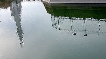 p3110291_thumb.jpg