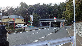 p3110296_thumb.jpg
