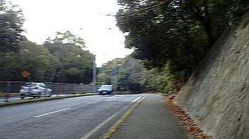 p3110298_thumb.jpg