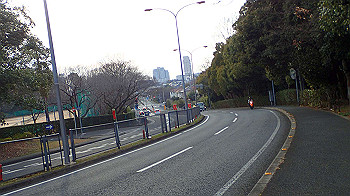 p3110299_thumb.jpg