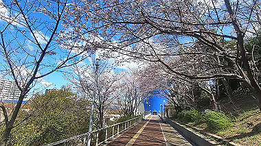 gx015905.mp4_snapshot_00.00_thumb.jpg