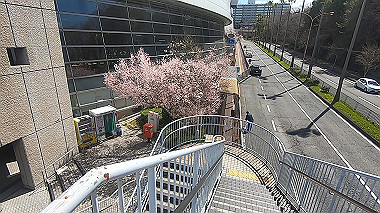 gx015905.mp4_snapshot_00.52_thumb.jpg