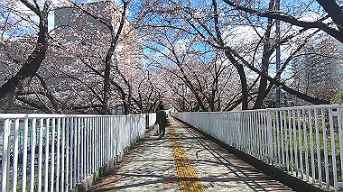 gx015907.mp4_snapshot_00.05_thumb.jpg