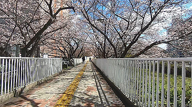 gx015907.mp4_snapshot_00.09_thumb.jpg