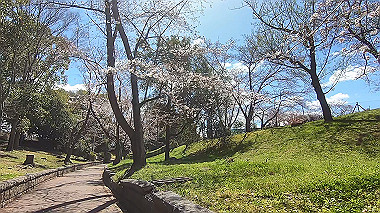 gx015908.mp4_snapshot_00.11_thumb.jpg