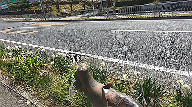 gx015909.mp4_snapshot_00.16_thumb.jpg