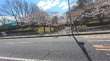 gx015909.mp4_snapshot_00.22_thumb.jpg