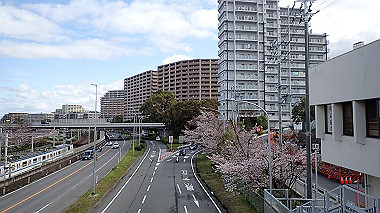 p3270005_thumb.jpg