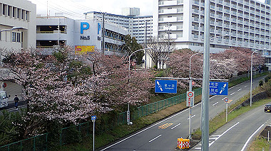 p3270007_thumb.jpg